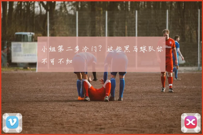 小组第二多冷门?这些黑马球队你不可不知