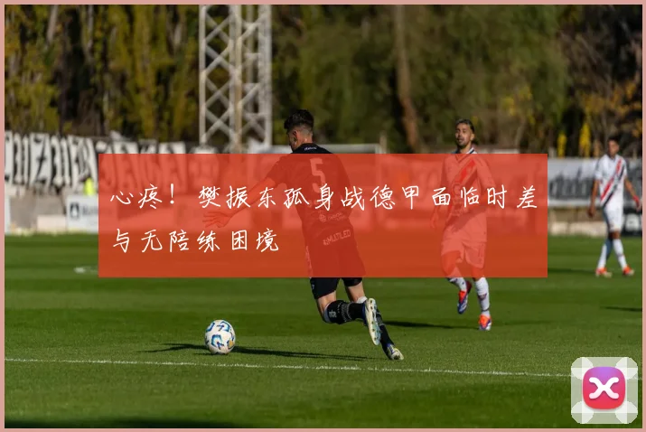 心疼!樊振东孤身战德甲面临时差与无陪练困境